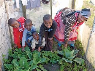 ihlaba elibuhlungu in english|IMIFINO – traditional food with a future .